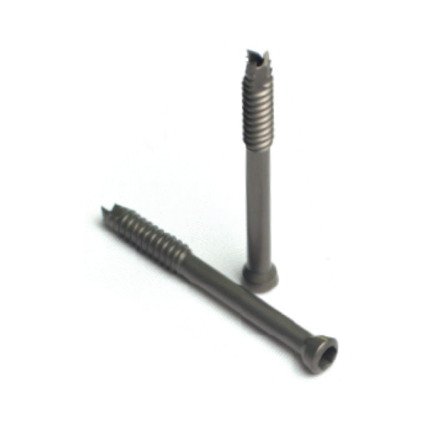 Cannulated Conical Screw  Self Tapping, Ø 6.0mm x Short Thread Length
