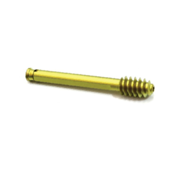 Dynamic Hip Screw  Ø 12.5mm