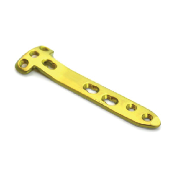 Locking Tomo Fixation Plate, Small  Without Capsule