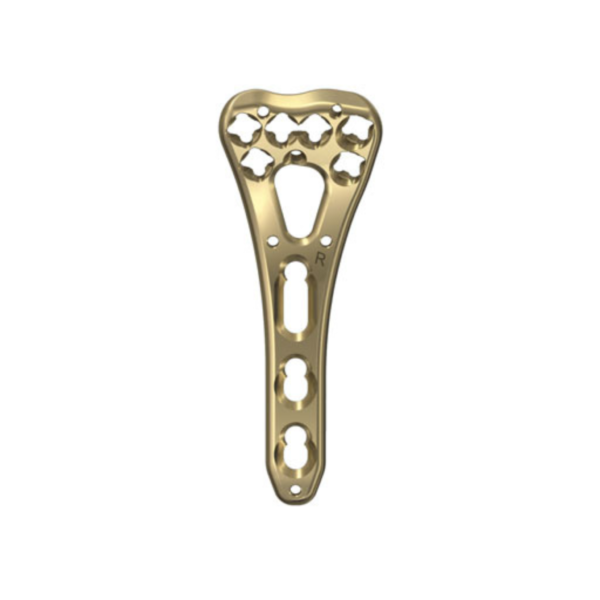 2.4/2.7 Variable Angle LCP Two Colomn Volar Plate Wide